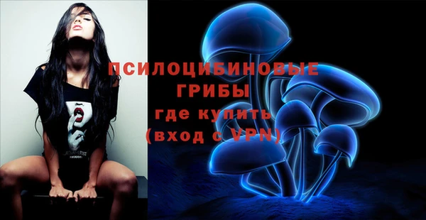 тгк Баксан