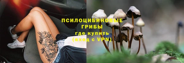 тгк Баксан